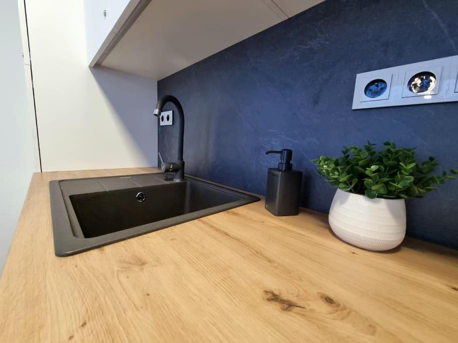 פץ פוד סניישקו Apartma V Klidne Lokalite Krkonos מראה חיצוני תמונה